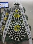 강원도춘천시 꽃배달, 강원도춘천시 꽃집, 강원도 춘천시 동면 만천양지길 41 꽃집, 힐링플라워 꽃집, 강원도 춘천시 동면 만천양지길 41 꽃배달... 