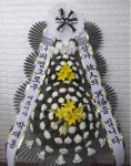 경기도고양시 일산동구 꽃배달, 경기도고양시 일산동구 꽃집, 경기도 고양시 일산동구 무궁화로386번길 29-13 꽃집, 식사동1021번지(식사동)... 