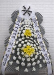 경기도고양시 일산동구 꽃배달, 경기도고양시 일산동구 꽃집, 경기도 고양시 일산동구 무궁화로386번길 29-13 꽃집, 식사동1021번지(식사동)... 