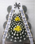 경기도고양시 일산동구 꽃배달, 경기도고양시 일산동구 꽃집, 경기도 고양시 일산동구 무궁화로386번길 29-13 꽃집, 식사동1021번지(식사동)... 