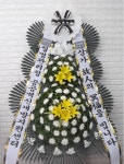 경기도파주시 꽃배달, 경기도파주시 꽃집, 경기도 파주시 황골로 87 꽃집, (금촌동)1.2호 부재중 우편거부 꽃집, 경기도 파주시 황골로 87 꽃배달... 