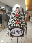 드림농원(영등동) 꽃집, 전북특별자치도 익산시 고봉로18길 86 꽃배달, 백세인생 드림농원(영등동) 꽃배달 - 백세인생 드림농원... 
