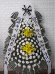 경기도고양시 일산동구 꽃배달, 경기도고양시 일산동구 꽃집, 경기도 고양시 일산동구 무궁화로386번길 29-13 꽃집, 식사동1021번지(식사동)... 