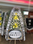 드림농원(영등동) 꽃집, 전북특별자치도 익산시 고봉로18길 86 꽃배달, 백세인생 드림농원(영등동) 꽃배달 - 백세인생 드림농원... 