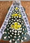 대구광역시서구 꽃배달, 대구광역시서구 꽃집, 대구광역시 서구 염색공단로5길 27 꽃집, (비산동) 1층 깜플라워 꽃집, 대구광역시 서구... 