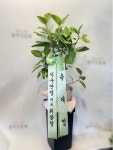 강원도원주시 꽃배달, 강원도원주시 꽃집, 강원도 원주시 문막읍 원문로 1794 꽃집, 문막식물원 꽃집, 강원도 원주시 문막읍 원문로 1794 꽃배달... 