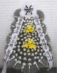 경기도고양시 일산동구 꽃배달, 경기도고양시 일산동구 꽃집, 경기도 고양시 일산동구 무궁화로386번길 29-13 꽃집, 식사동1021번지(식사동)... 