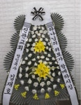 경기도고양시 일산동구 꽃배달, 경기도고양시 일산동구 꽃집, 경기도 고양시 일산동구 무궁화로386번길 29-13 꽃집, 식사동1021번지(식사동)... 