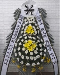 경기도고양시 일산동구 꽃배달, 경기도고양시 일산동구 꽃집, 경기도 고양시 일산동구 무궁화로386번길 29-13 꽃집, 식사동1021번지(식사동)... 
