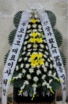 경상북도김천시 꽃배달, 경상북도김천시 꽃집, 경상북도 김천시 시청로 145 꽃집, 신세계화원(신음동) 꽃집, 경상북도 김천시 시청로 145 꽃배달... 