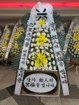드림농원(영등동) 꽃집, 전북특별자치도 익산시 고봉로18길 86 꽃배달, 백세인생 드림농원(영등동) 꽃배달 - 백세인생 드림농원... 