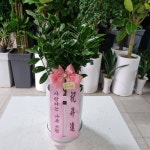 경상북도문경시 꽃배달, 경상북도문경시 꽃집, 경상북도 문경시 당교7길 3-4 꽃집, (모전동) 꽃집, 경상북도 문경시 당교7길 3-4 꽃배달, (모전동)... 