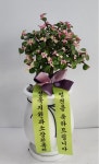 경상북도김천시 꽃배달, 경상북도김천시 꽃집, 경상북도 김천시 시청로 145 꽃집, 신세계화원(신음동) 꽃집, 경상북도 김천시 시청로 145 꽃배달... 