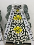 강원특별자치도속초시 꽃배달, 강원특별자치도속초시 꽃집, 강원특별자치도 속초시 이목로 140 꽃집, (노학동) 꽃집, 강원특별자치도 속초시... 