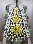 대전광역시유성구 꽃배달, 대전광역시유성구 꽃집, 대전광역시 유성구 북유성대로 34 꽃집, 정플라워(노은동) 꽃집, 대전광역시 유성구... 