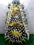 부산광역시남구 꽃배달, 부산광역시남구 꽃집, 부산광역시 남구 문현로 37-7 꽃집, 부산광역시 남구 진남로 188번길 52-17 꽃집, 부산광역시 남구... 