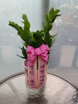 경기도화성시 꽃배달, 경기도화성시 꽃집, 경기도 화성시 향남읍 삼천병마로 148 꽃집, 148 꽃집, 경기도 화성시 향남읍 삼천병마로 148 꽃배달... 