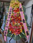진해구 행암로 5 꽃집, 상가 수요일엔 구청앞꽃집(장천동... 진해구 행암로 5 꽃배달, 상가 수요일엔 구청앞꽃집(장천동... 