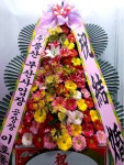 남구 진남로 188번길 52-17 꽃집, 부산광역시 남구 문현로 37-7 꽃배달, 부산광역시 남구 진남로 188번길 52-17 꽃배달 - 숲플라워... 
