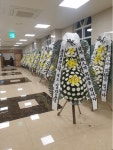 인천광역시계양구 꽃배달, 인천광역시계양구 꽃집, 인천광역시 계양구 서운산업로47번길 20 꽃집, (서운동149-84) 꽃집, 인천광역시 계양구... 