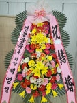 경기도화성시 꽃배달, 경기도화성시 꽃집, 경기도 화성시 팔탄면 푸른들판로 504 꽃집, 경기도 화성시 팔탄면 푸른들판로 431-24 꽃집, 경기도... 