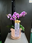 경상남도진주시 꽃배달, 경상남도진주시 꽃집, 경상남도 진주시 동진로 181 꽃집, 진주시 동진로 183(상대동) 꽃집, 경상남도 진주시 동진로 181... 