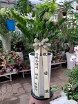 경기도화성시 꽃배달, 경기도화성시 꽃집, 경기도 화성시 향남읍 삼천병마로 148 꽃집, 148 꽃집, 경기도 화성시 향남읍 삼천병마로 148 꽃배달... 