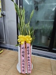 고흥군 고흥읍 여산당촌길 46 꽃집, (모아하이빌아파트) 102호... 고흥군 고흥읍 여산당촌길 46 꽃배달, (모아하이빌아파트) 102호 백양꽃화원... 