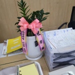 경기도평택시 꽃배달, 경기도평택시 꽃집, 경기도 평택시 안중읍 안현로서9길 155 꽃집, 안중읍 안중리 299-8 꽃집, 경기도 평택시 안중읍 안현로... 