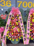 강원특별자치도속초시 꽃배달, 강원특별자치도속초시 꽃집, 강원특별자치도 속초시 이목로 140 꽃집, (노학동) 꽃집, 강원특별자치도 속초시... 