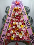 부산광역시남구 꽃배달, 부산광역시남구 꽃집, 부산광역시 남구 문현로 37-7 꽃집, 부산광역시 남구 진남로 188번길 52-17 꽃집, 부산광역시 남구... 
