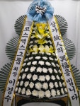 남구 진남로 188번길 52-17 꽃집, 부산광역시 남구 문현로 37-7 꽃배달, 부산광역시 남구 진남로 188번길 52-17 꽃배달 - 숲플라워... 