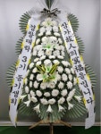대전광역시유성구 꽃배달, 대전광역시유성구 꽃집, 대전광역시 유성구 북유성대로 34 꽃집, 정플라워(노은동) 꽃집, 대전광역시 유성구... 