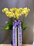 전라남도목포시 꽃배달, 전라남도목포시 꽃집, 전라남도 목포시 백년대로297번길 22 꽃집, 목포난도매(상동) 꽃집, 전라남도 목포시... 