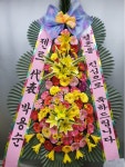 대전광역시유성구 꽃배달, 대전광역시유성구 꽃집, 대전광역시 유성구 북유성대로 34 꽃집, 정플라워(노은동) 꽃집, 대전광역시 유성구... 