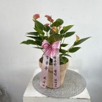 경기도이천시 꽃배달, 경기도이천시 꽃집, 경기도 이천시 구만리로 16 꽃집, (증일동) 꽃집, 경기도 이천시 구만리로 16 꽃배달, (증일동) 꽃배달... 