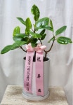 전라남도목포시 꽃배달, 전라남도목포시 꽃집, 전라남도 목포시 옥암로 46 꽃집, 에덴꽃동산(옥암동) 꽃집, 전라남도 목포시 옥암로 46 꽃배달... 