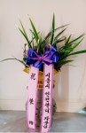 경기도안산시 단원구 꽃배달, 경기도안산시 단원구 꽃집, 경기도 안산시 단원구 석수로 33 꽃집, 경기도안산시 단원구선부동1071-9 꽃집, 경기도... 