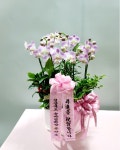 경상북도상주시 꽃배달, 경상북도상주시 꽃집, 경상북도 상주시 왕산로 337-1 꽃집, 플라워앤플라워(냉림동) 꽃집, 경상북도 상주시 왕산로 337-1... 