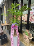 제주특별자치도서귀포시 꽃배달, 제주특별자치도서귀포시 꽃집, 제주특별자치도 서귀포시 일주동로 8626-1 꽃집, 1층(동홍동) 꽃집... 