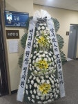 제주특별자치도서귀포시 꽃배달, 제주특별자치도서귀포시 꽃집, 제주특별자치도 서귀포시 동홍로109번길 13 꽃집, (동홍동) 꽃집... 