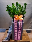 전라남도여수시 꽃배달, 전라남도여수시 꽃집, 전라남도 여수시 여천길 75-3 꽃집, 전남 여수시 여천동 907-4 꽃집, 전라남도 여수시 여천길 75-3... 
