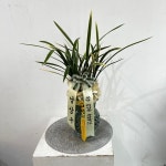 경기도이천시 꽃배달, 경기도이천시 꽃집, 경기도 이천시 구만리로 16 꽃집, (증일동) 꽃집, 경기도 이천시 구만리로 16 꽃배달, (증일동) 꽃배달... 