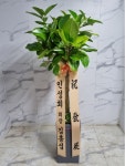 인천광역시남동구 꽃배달, 인천광역시남동구 꽃집, 인천광역시 남동구 매소홀로 816 꽃집, (구월동) 꽃집, 인천광역시 남동구 매소홀로 816... 