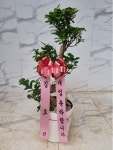 인천광역시남동구 꽃배달, 인천광역시남동구 꽃집, 인천광역시 남동구 매소홀로 816 꽃집, (구월동) 꽃집, 인천광역시 남동구 매소홀로 816... 