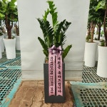 경기도화성시 꽃배달, 경기도화성시 꽃집, 경기도 화성시 봉담읍 삼천병마로 818 꽃집, 한백화훼유통 꽃집, 경기도 화성시 봉담읍 삼천병마로 818... 