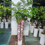 경기도화성시 꽃배달, 경기도화성시 꽃집, 경기도 화성시 봉담읍 삼천병마로 818 꽃집, 한백화훼유통 꽃집, 경기도 화성시 봉담읍 삼천병마로 818... 