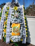 경상남도밀양시 꽃배달, 경상남도밀양시 꽃집, 경상남도 밀양시 교동로5길 25 꽃집, 꽃을 든 남자(교동) 꽃집, 경상남도 밀양시 교동로5길 25... 