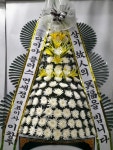 남구 진남로 188번길 52-17 꽃집, 부산광역시 남구 문현로 37-7 꽃배달, 부산광역시 남구 진남로 188번길 52-17 꽃배달 - 숲플라워... 
