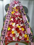 부산광역시남구 꽃배달, 부산광역시남구 꽃집, 부산광역시 남구 문현로 37-7 꽃집, 부산광역시 남구 진남로 188번길 52-17 꽃집, 부산광역시 남구... 